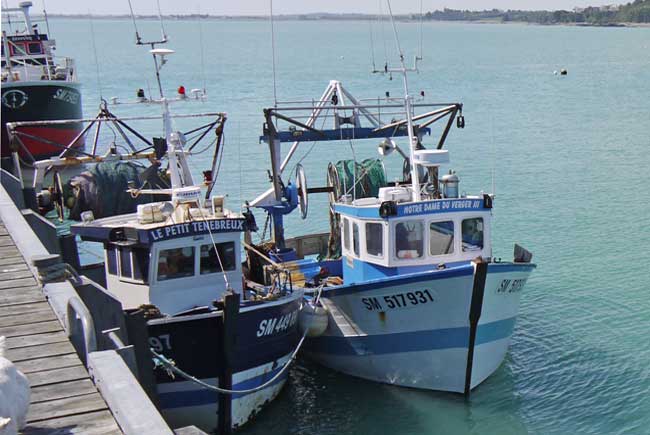 Fishing fleets